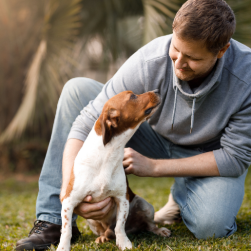 Pies ze schroniska ostrożnie podchodzący do nowego opiekuna podczas pierwszych chwil po adopcji