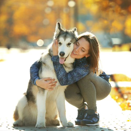 Adopcja psa ze schroniska