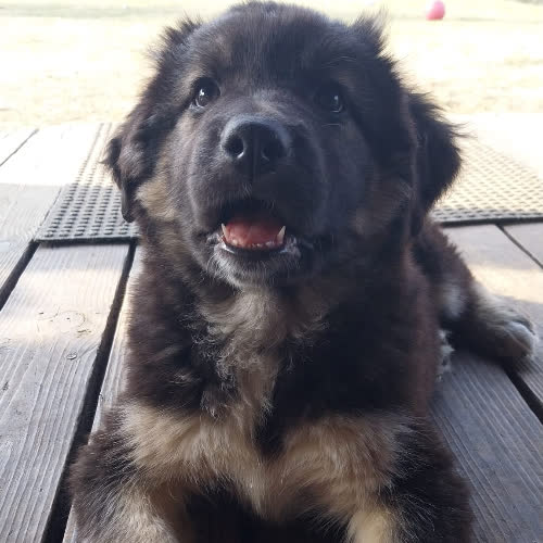 ...