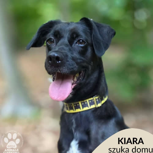 Kiara