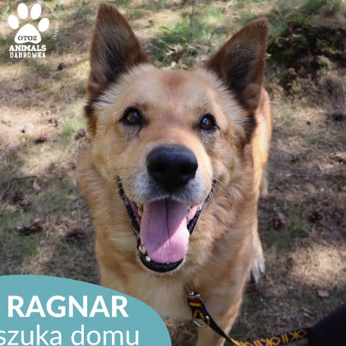 Ragnar