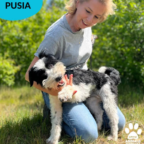 Pusia