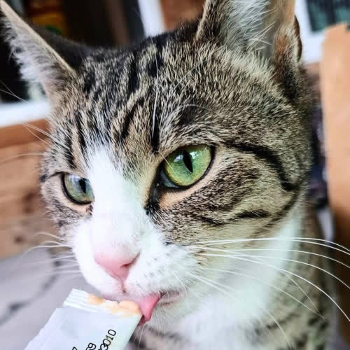 Ola