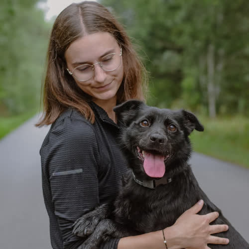 Psy ze schroniska do adopcji Krejzol