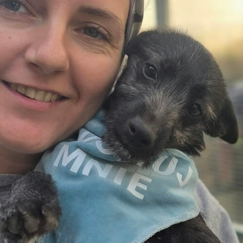 Psy ze schroniska do adopcji Szczeniak Krzemień
