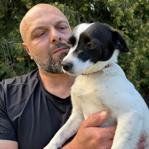 Psy ze schroniska do adopcji Kira