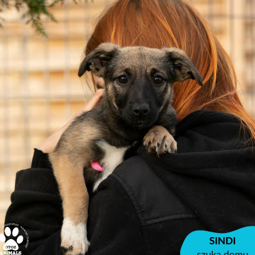 Sindi,Frotka,Cynka i Wanda