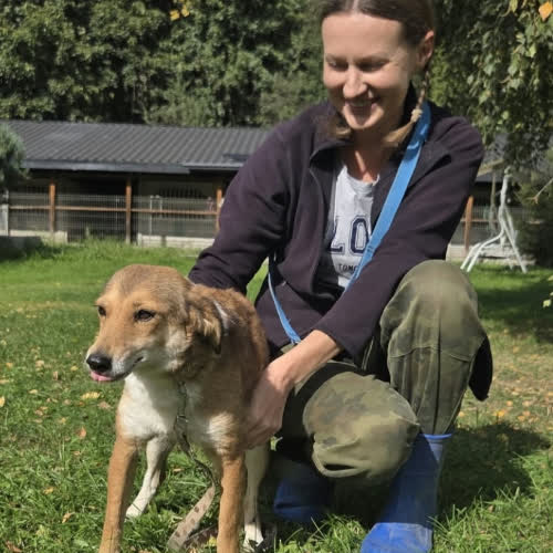 Psy ze schroniska do adopcji Lalka 