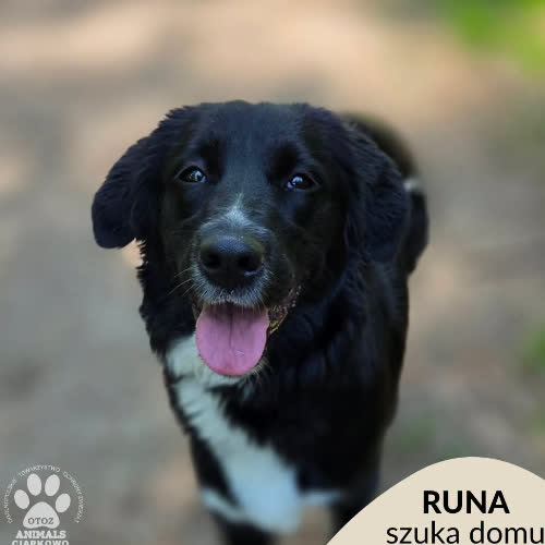 Runa