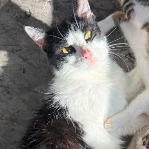 ...