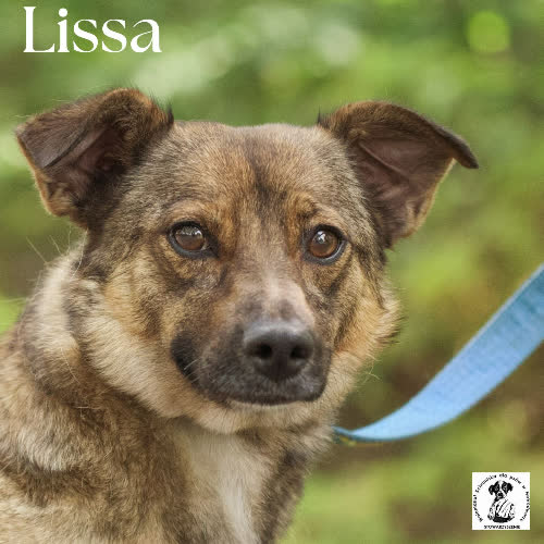 Lissa