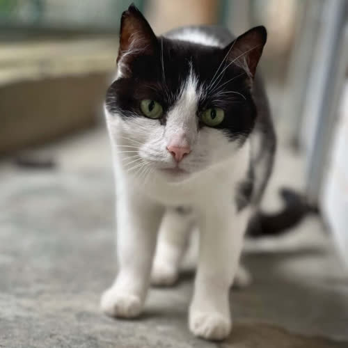 Luna
