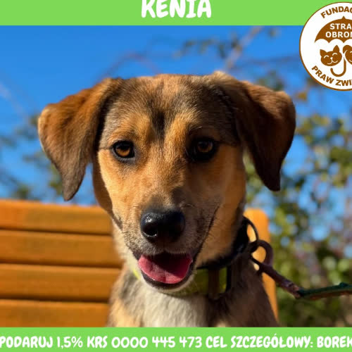 KENIA