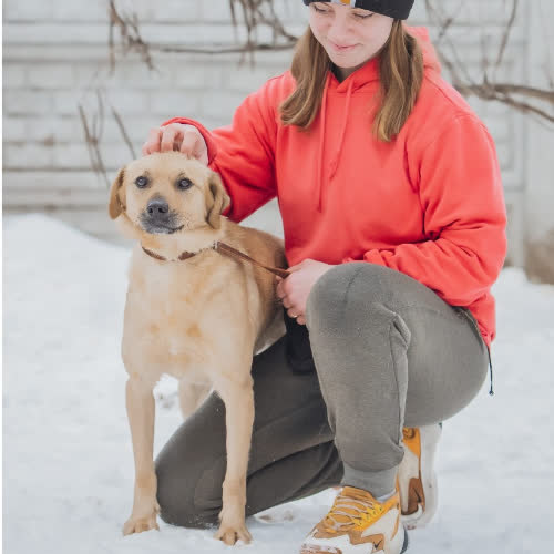 Psy ze schroniska do adopcji Wnuczek 