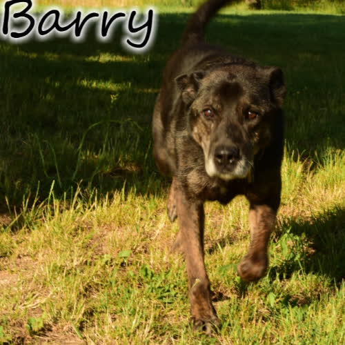 Barry