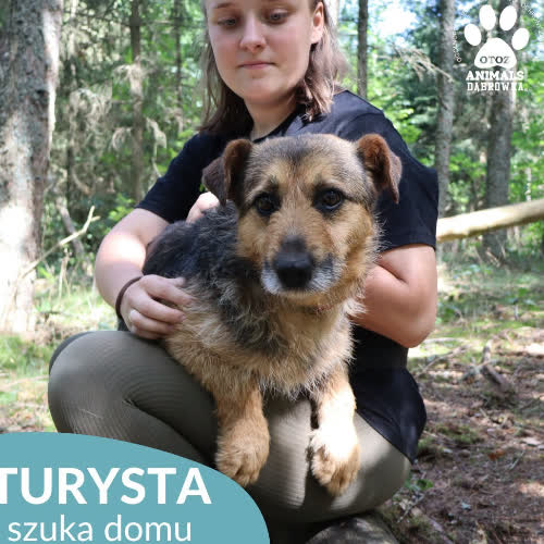 TURYSTA