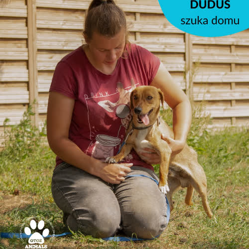 Duduś