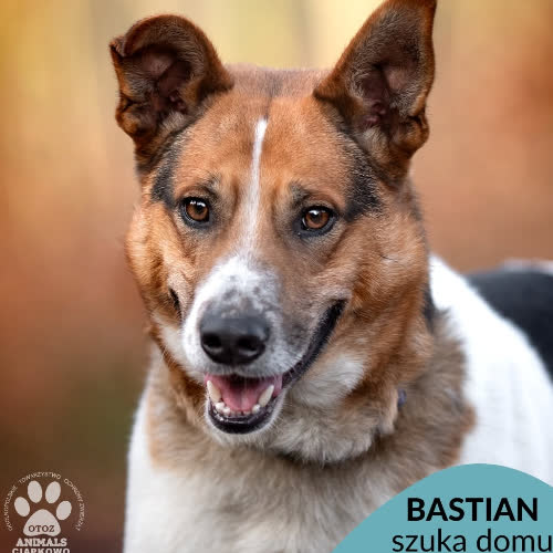 Bastian