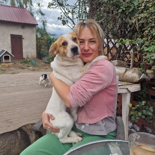 Psy ze schroniska do adopcji Reksiu