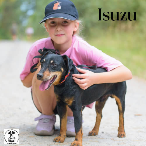 Isuzu