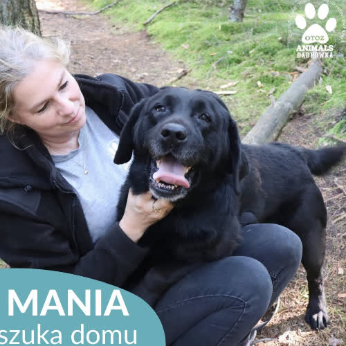 Mania