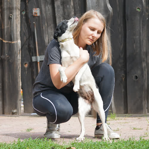 ...