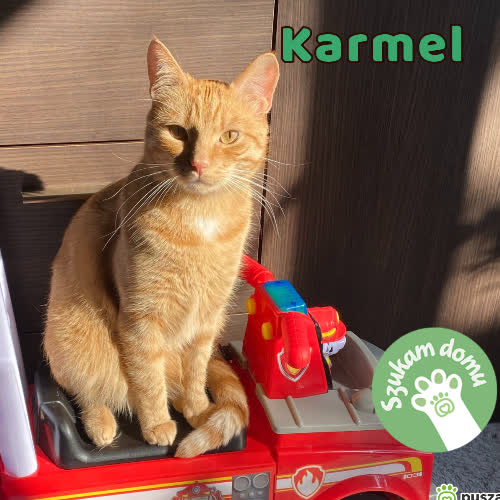 Karmel