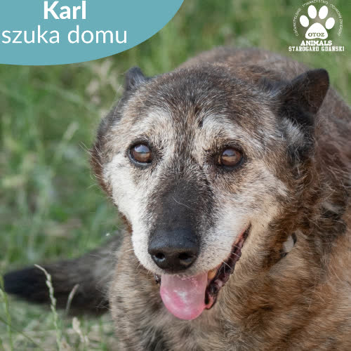 Karl