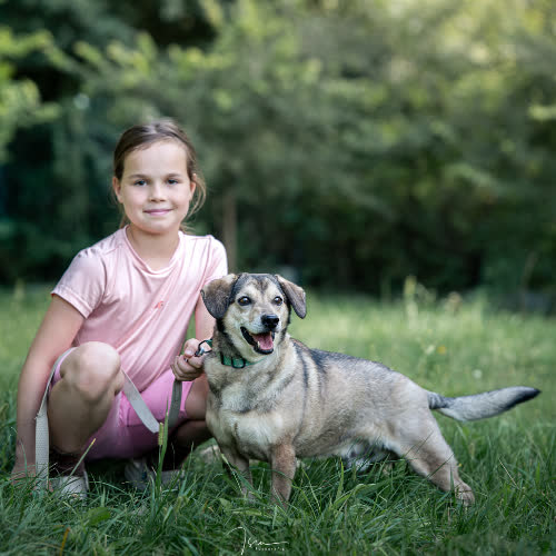 Psy ze schroniska do adopcji APOLLO 