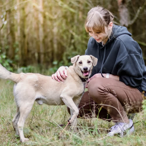 Psy ze schroniska do adopcji Zdzisław