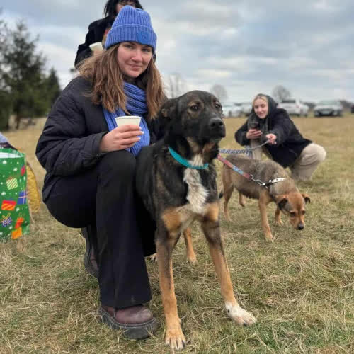 Psy ze schroniska do adopcji Enzo 