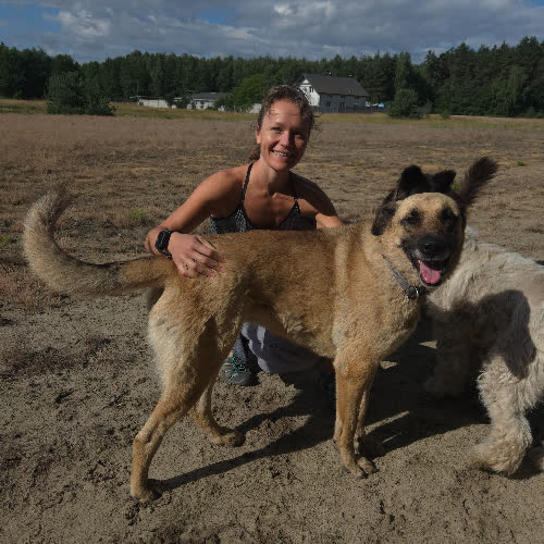 Psy ze schroniska do adopcji SZILA