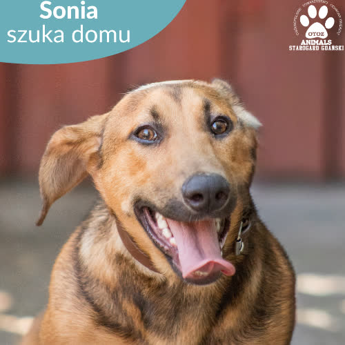 Sonia