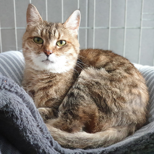 Kasieńka - rezerwacja