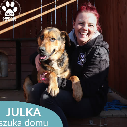 Psy ze schroniska do adopcji Julka