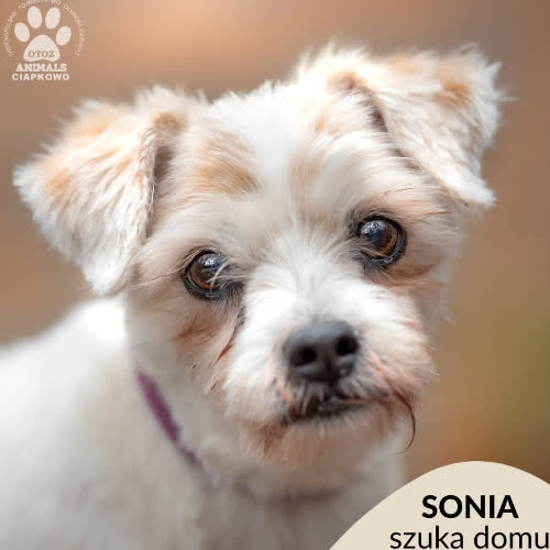 Sonia