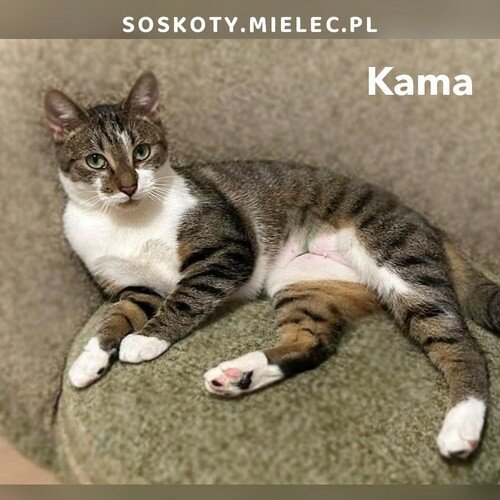 Kama