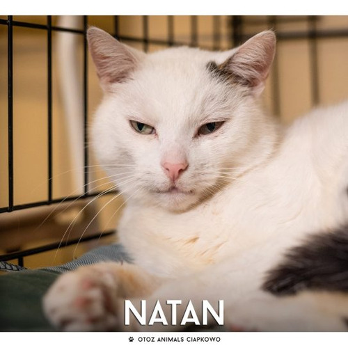 Natan