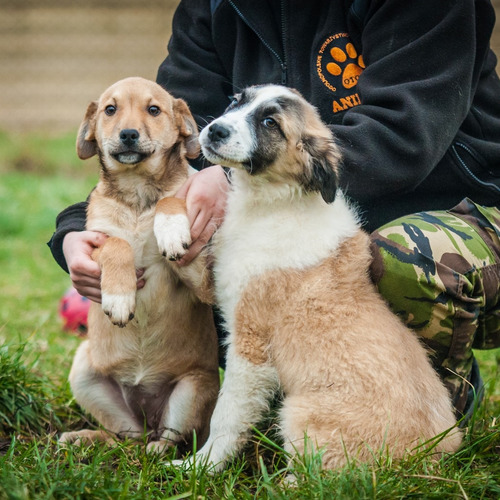 Piotruś pan & wendy