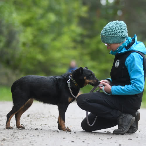 ...