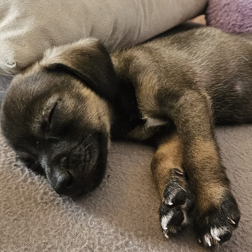 ...