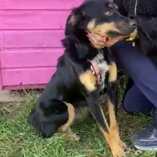...