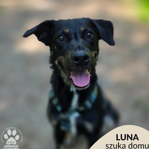 Luna