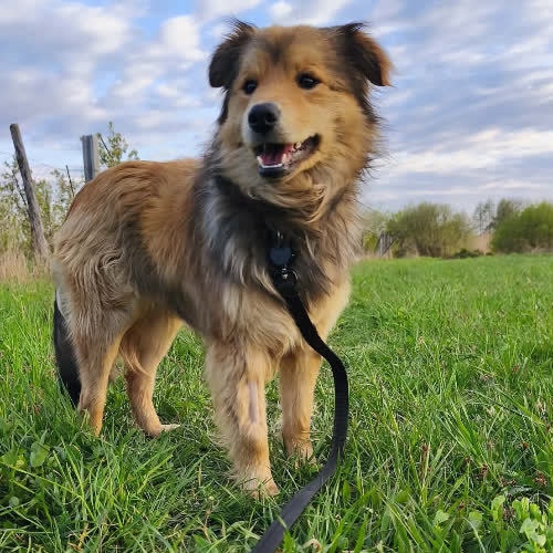...