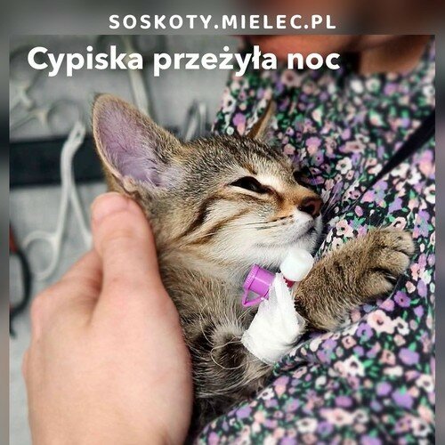 ...
