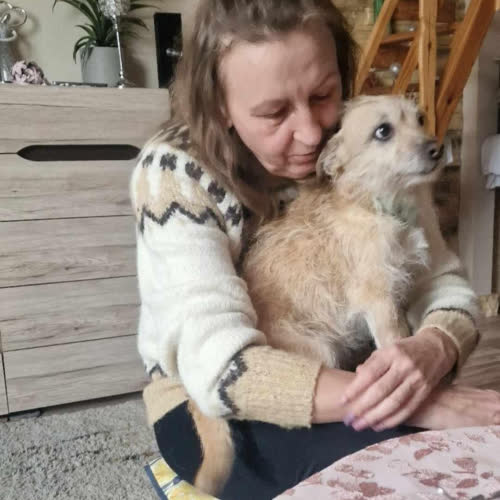 Furia grzecznosciowo