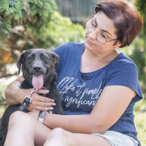 Psy ze schroniska do adopcji Kalma