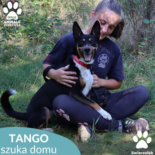 Tango