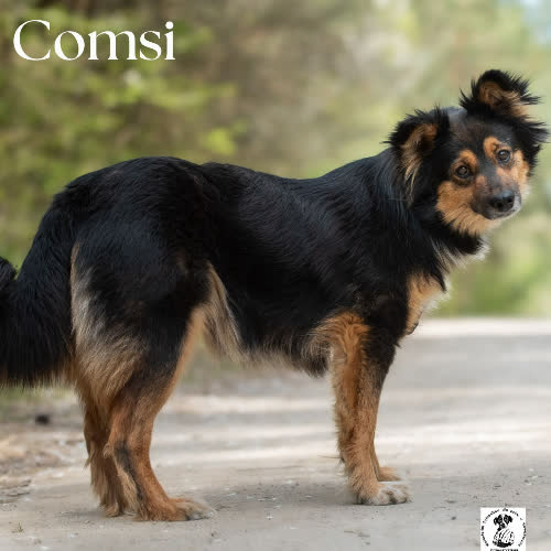 Przylepka COMSI