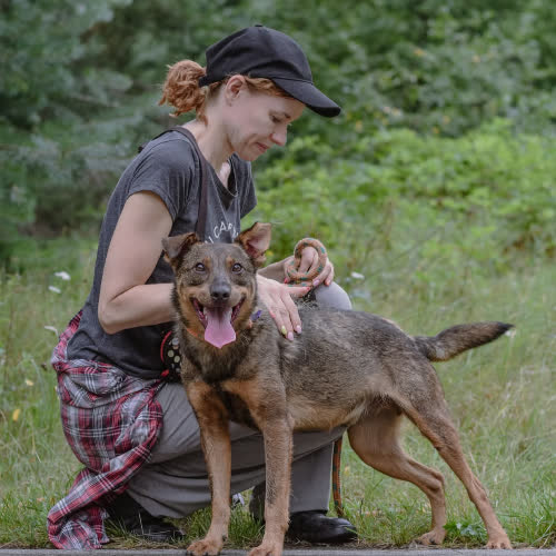 Psy ze schroniska do adopcji Groszek 